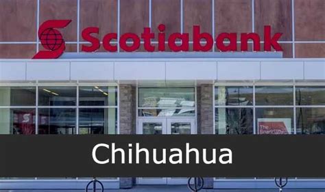 scotiabank chihuahua abierto sábado